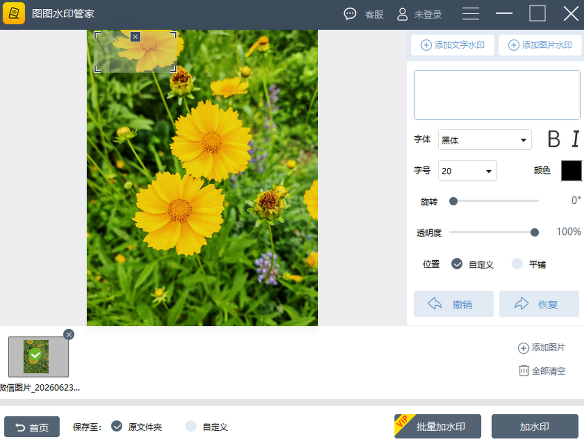 图图水印管家