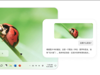 Ԫ������ͼƬ�ೣ���������