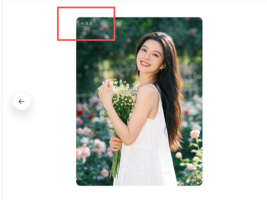 �������ɵ�ͼƬ��AI����ˮӡ�������ܲ���ȥ����