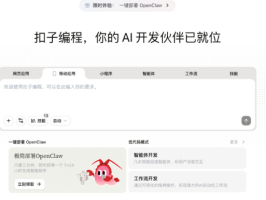 ���ӱ����ʲô