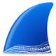 Wireshark Mac
