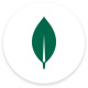MongoDB Compass