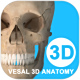 ά3D