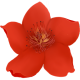 С�컨��Ч����